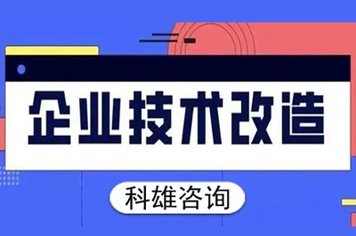 東莞高新技術企業技術咨詢服務市場價值與費用解析