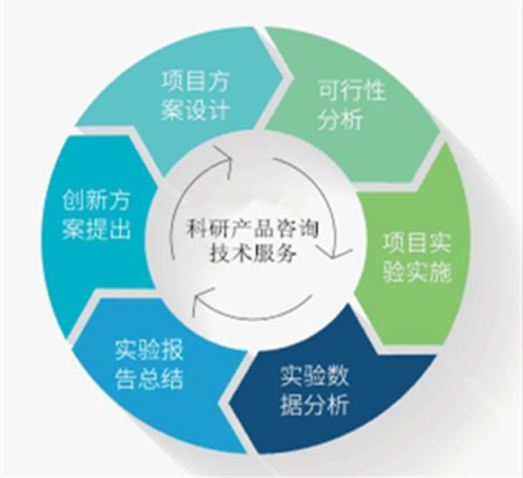 國產(chǎn)大鼠血小板因子4 ELISA檢測試劑盒技術(shù)指南 從實驗設計到數(shù)據(jù)分析