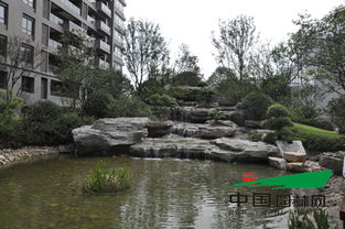 普天園林問鼎2014中國風(fēng)景園林學(xué)會優(yōu)秀園林工程大金獎，假山藝術(shù)再創(chuàng)輝煌