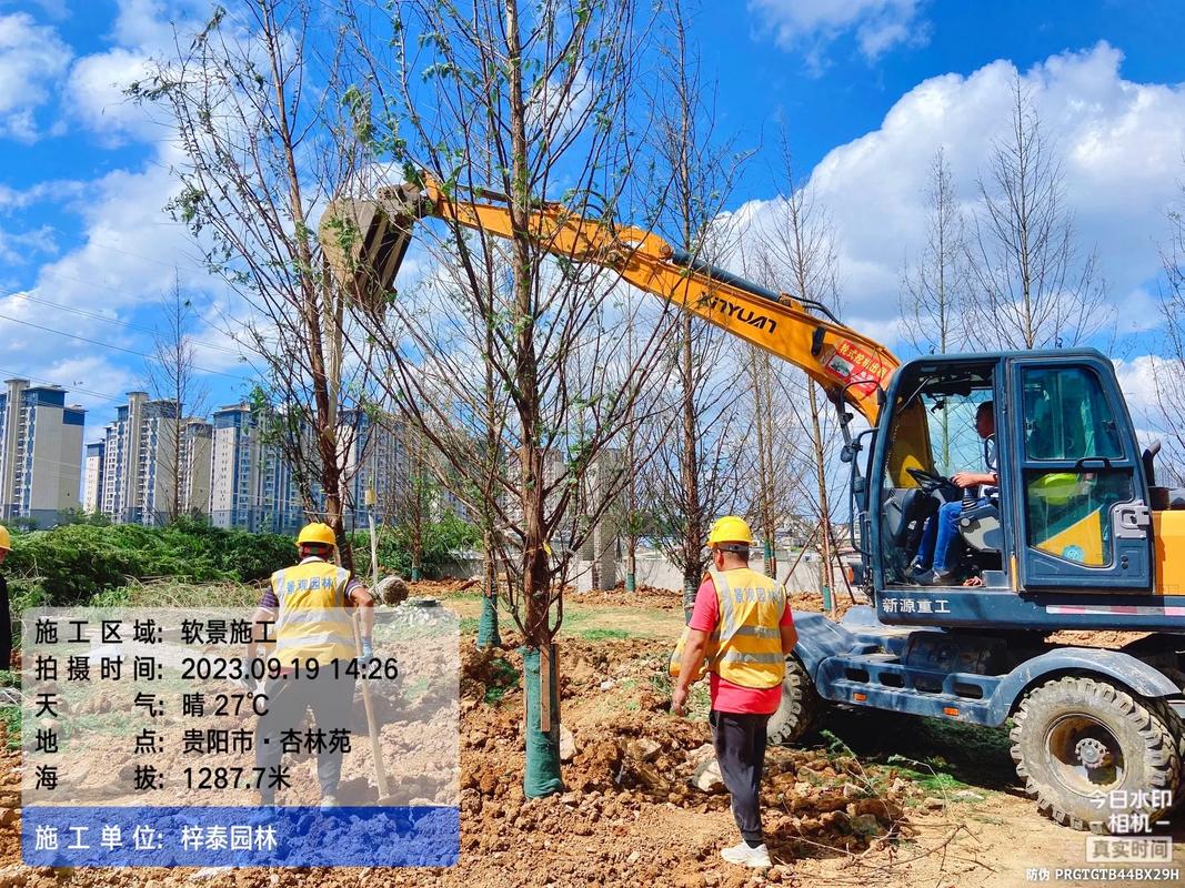 園林綠化的匠心構(gòu)筑 從苗木培育到假山造景的施工現(xiàn)場實(shí)錄