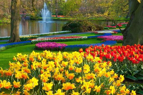 疊石成景，巧筑自然——園林假山設計施工的六個核心秘訣